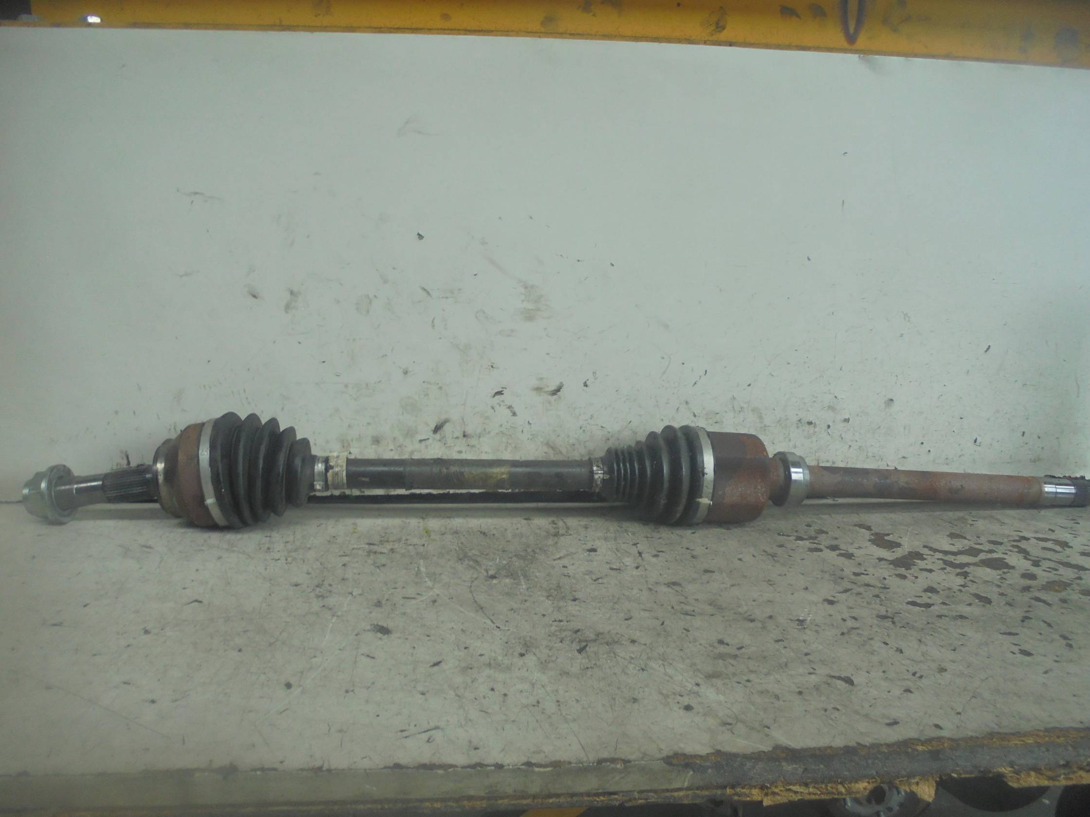 Semialbero ant. compl. dx.